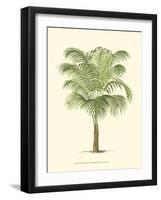 Coastal Palm III-null-Framed Art Print