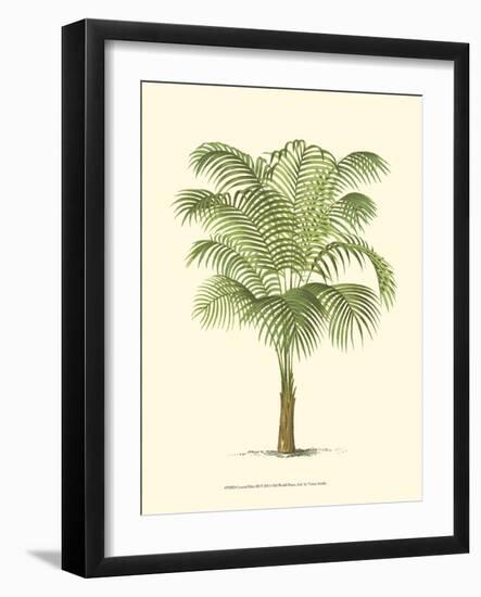 Coastal Palm III-null-Framed Art Print
