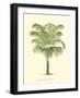 Coastal Palm III-null-Framed Art Print