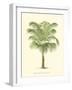 Coastal Palm III-null-Framed Art Print