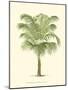 Coastal Palm III-null-Mounted Art Print