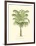 Coastal Palm III-null-Framed Art Print