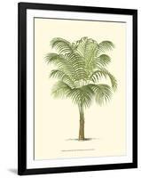 Coastal Palm III-null-Framed Art Print