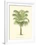 Coastal Palm III-null-Framed Art Print