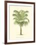 Coastal Palm III-null-Framed Art Print