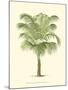 Coastal Palm III-null-Mounted Art Print