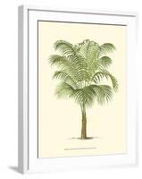 Coastal Palm III-null-Framed Art Print