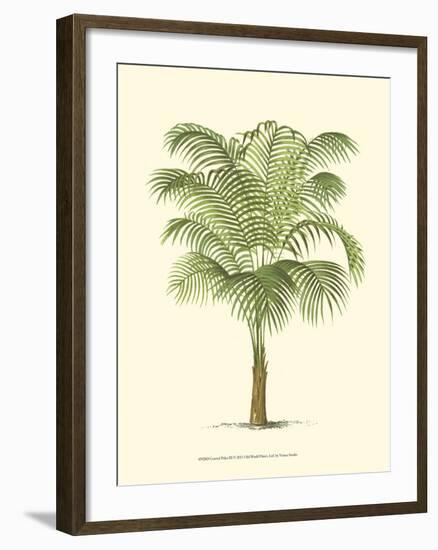 Coastal Palm III-null-Framed Art Print