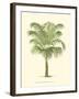 Coastal Palm III-null-Framed Art Print