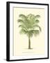 Coastal Palm III-null-Framed Art Print