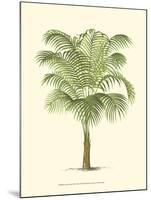 Coastal Palm III-null-Mounted Art Print