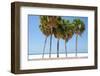 Coastal Palms I-Laura DeNardo-Framed Photographic Print