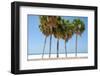 Coastal Palms I-Laura DeNardo-Framed Photographic Print