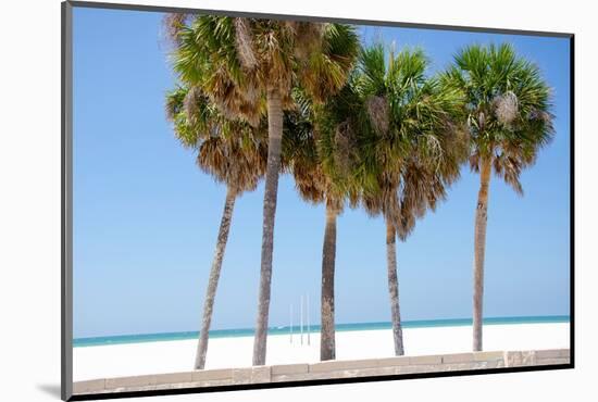 Coastal Palms I-Laura DeNardo-Mounted Photographic Print