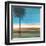 Coastal Palms III-Patricia Pinto-Framed Art Print