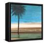 Coastal Palms III-Patricia Pinto-Framed Stretched Canvas