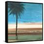 Coastal Palms III-Patricia Pinto-Framed Stretched Canvas