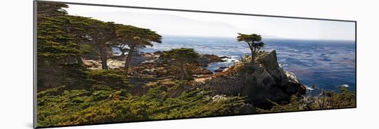 Coastal Panorama at Pebble Beach-George Oze-Mounted Photographic Print