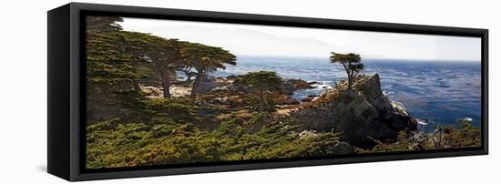 Coastal Panorama at Pebble Beach-George Oze-Framed Stretched Canvas