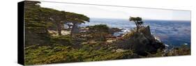 Coastal Panorama at Pebble Beach-George Oze-Stretched Canvas