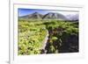 Coastal Path, Big Sur Coast, California-George Oze-Framed Photographic Print