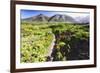 Coastal Path, Big Sur Coast, California-George Oze-Framed Photographic Print