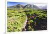 Coastal Path, Big Sur Coast, California-George Oze-Framed Photographic Print