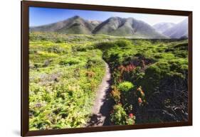 Coastal Path, Big Sur Coast, California-George Oze-Framed Photographic Print