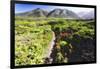 Coastal Path, Big Sur Coast, California-George Oze-Framed Photographic Print