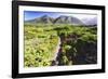 Coastal Path, Big Sur Coast, California-George Oze-Framed Photographic Print