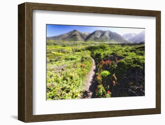 Coastal Path, Big Sur Coast, California-George Oze-Framed Photographic Print