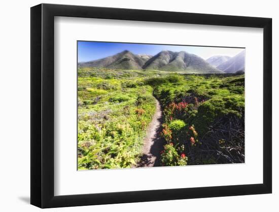 Coastal Path, Big Sur Coast, California-George Oze-Framed Photographic Print