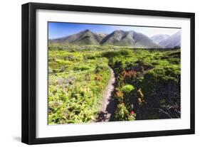 Coastal Path, Big Sur Coast, California-George Oze-Framed Photographic Print