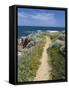 Coastal Path with Spring Flowers, Near Chania, Chania Region, Crete, Greek Islands, Greece, Europe-Stuart Black-Framed Stretched Canvas