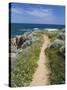 Coastal Path with Spring Flowers, Near Chania, Chania Region, Crete, Greek Islands, Greece, Europe-Stuart Black-Stretched Canvas