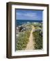 Coastal Path with Spring Flowers, Near Chania, Chania Region, Crete, Greek Islands, Greece, Europe-Stuart Black-Framed Photographic Print