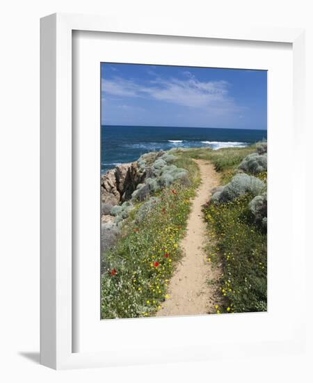 Coastal Path with Spring Flowers, Near Chania, Chania Region, Crete, Greek Islands, Greece, Europe-Stuart Black-Framed Photographic Print