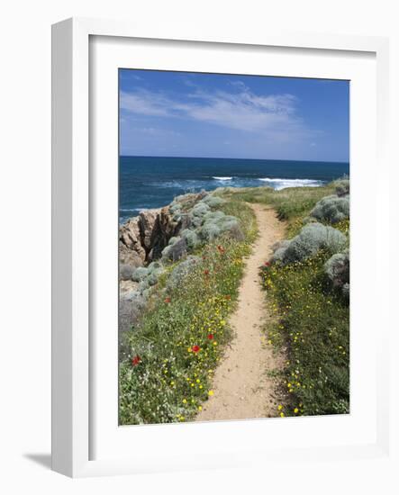 Coastal Path with Spring Flowers, Near Chania, Chania Region, Crete, Greek Islands, Greece, Europe-Stuart Black-Framed Photographic Print