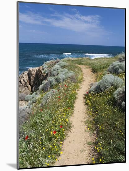 Coastal Path with Spring Flowers, Near Chania, Chania Region, Crete, Greek Islands, Greece, Europe-Stuart Black-Mounted Photographic Print