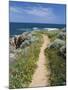 Coastal Path with Spring Flowers, Near Chania, Chania Region, Crete, Greek Islands, Greece, Europe-Stuart Black-Mounted Photographic Print