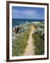 Coastal Path with Spring Flowers, Near Chania, Chania Region, Crete, Greek Islands, Greece, Europe-Stuart Black-Framed Photographic Print