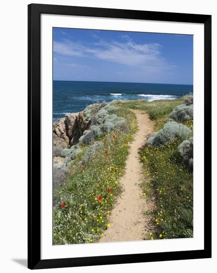 Coastal Path with Spring Flowers, Near Chania, Chania Region, Crete, Greek Islands, Greece, Europe-Stuart Black-Framed Photographic Print