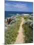 Coastal Path with Spring Flowers, Near Chania, Chania Region, Crete, Greek Islands, Greece, Europe-Stuart Black-Mounted Photographic Print