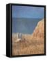 Coastal Path-Lincoln Seligman-Framed Stretched Canvas