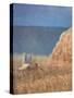 Coastal Path-Lincoln Seligman-Stretched Canvas