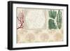 Coastal Patternbook II-Vision Studio-Framed Art Print