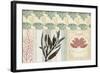 Coastal Patternbook III-Vision Studio-Framed Art Print