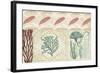 Coastal Patternbook IV-Vision Studio-Framed Art Print