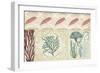 Coastal Patternbook IV-Vision Studio-Framed Premium Giclee Print