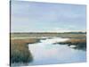 Coastal Plains I-Tim OToole-Stretched Canvas